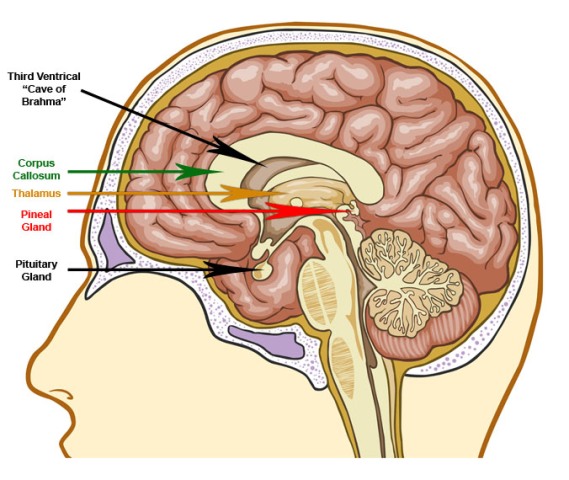 How to Stay Grounded When Your Third Eye Awakens