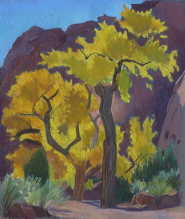 Cottonwoods at the Grotto