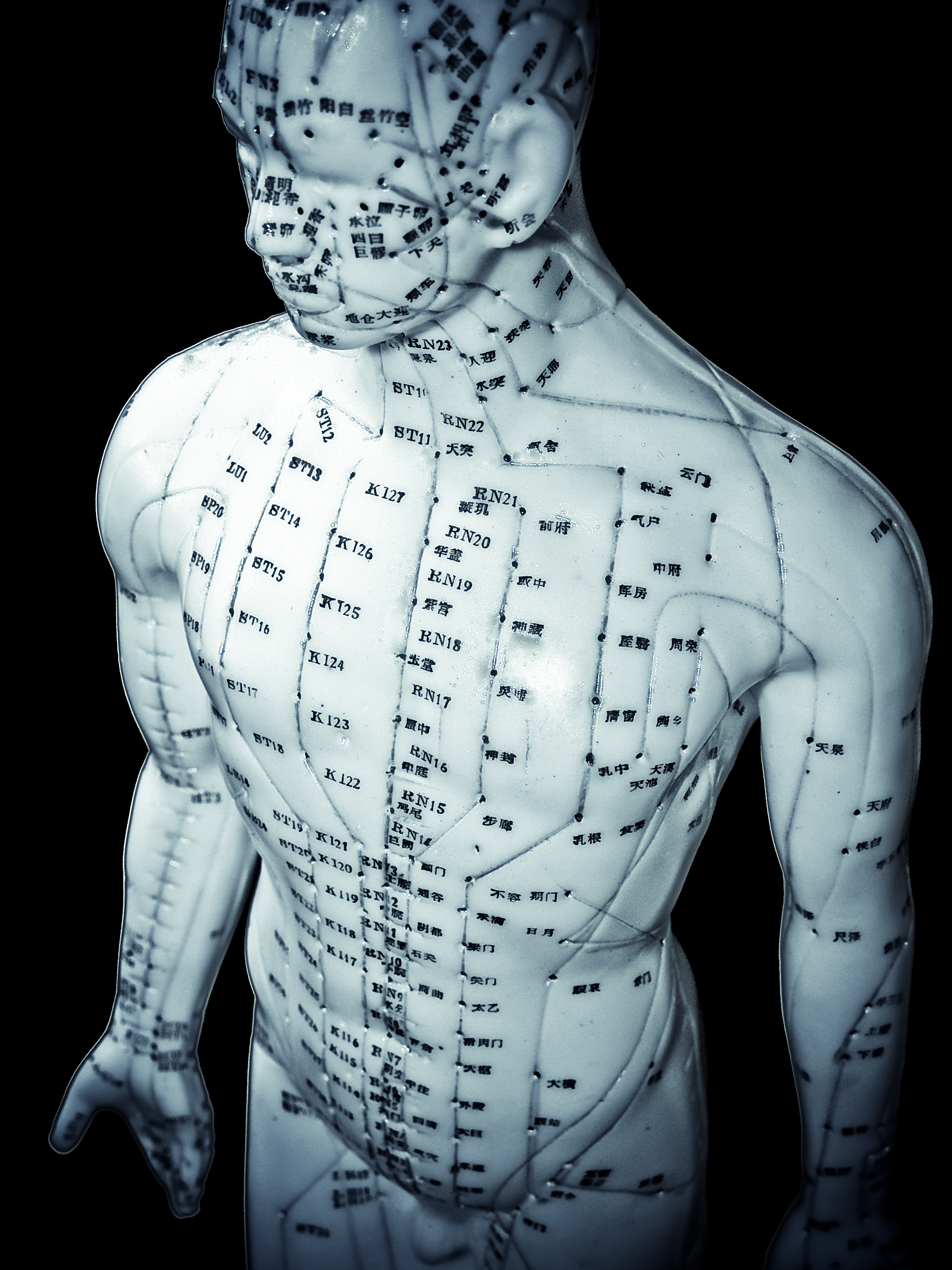 Acupuncture doll shows needle points iAwake Technologies