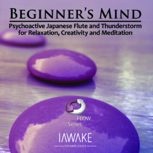 Beginner's Mind