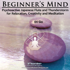 Beginner's Mind