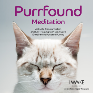 Purrfound Meditation