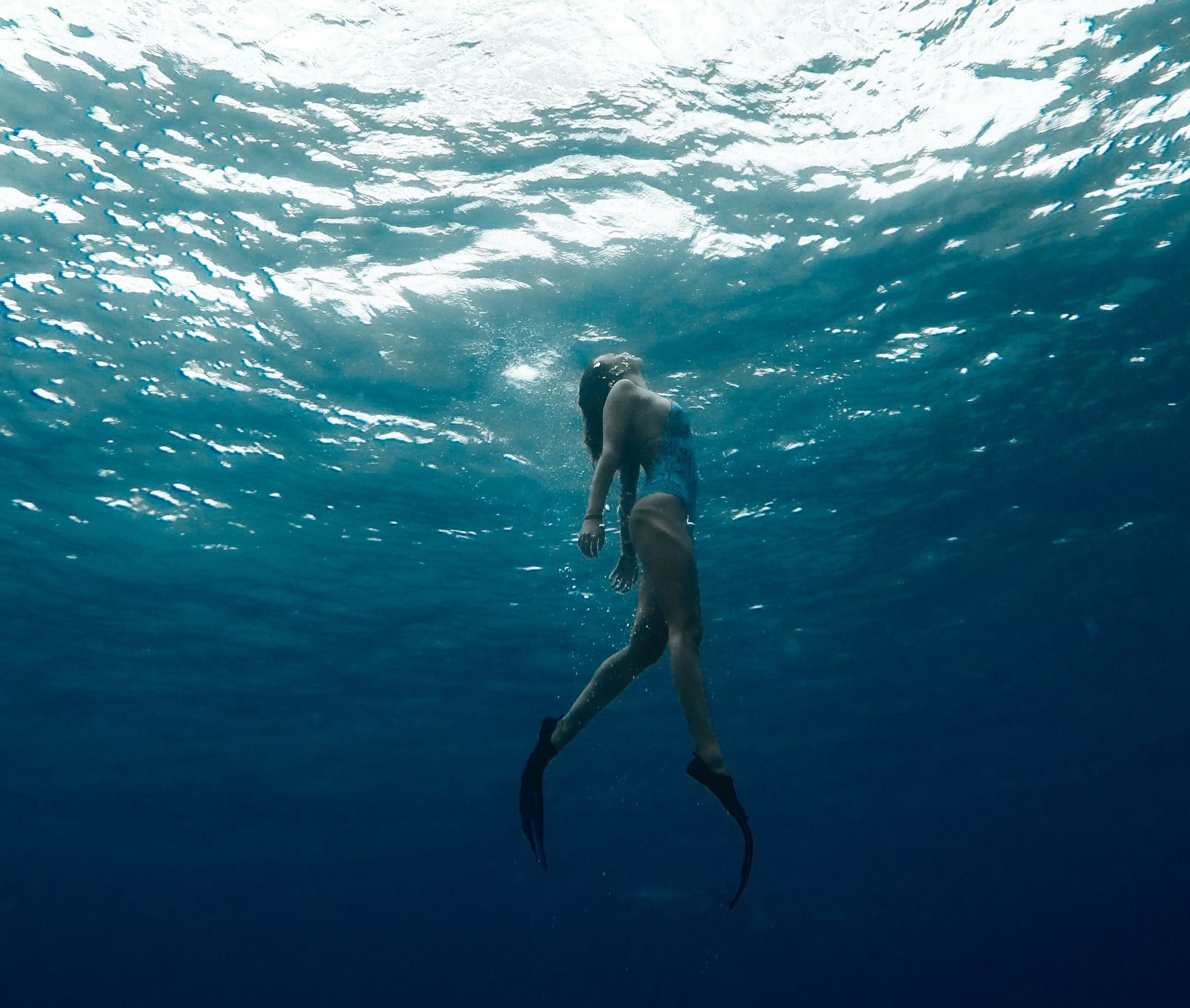 free-dive free-dive