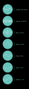 Gamma Brain Waves and What They Do For Our Brains