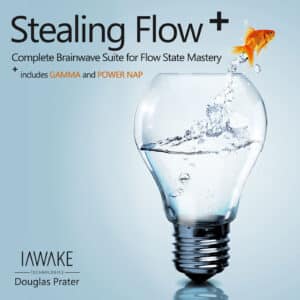 Cover Art of Stealing Flow+