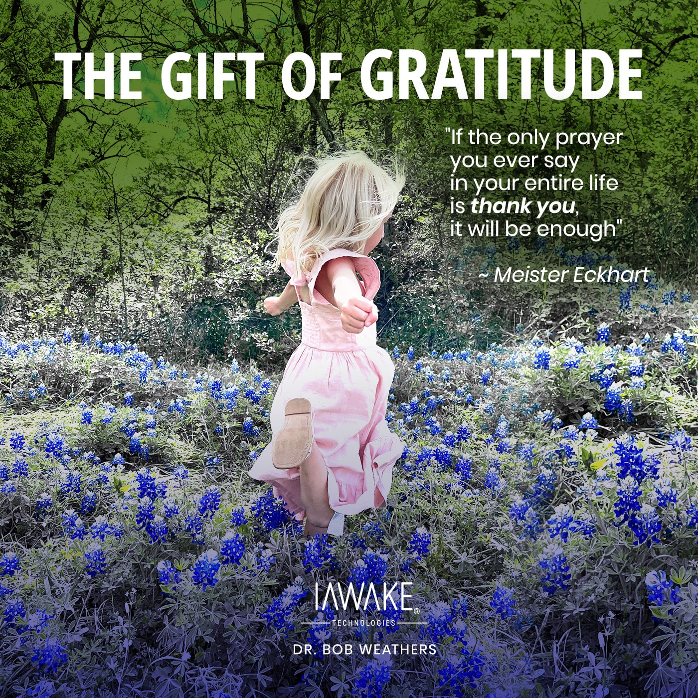 The Gift of Gratitude