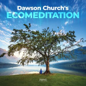 Dawson Church's EcoMeditation