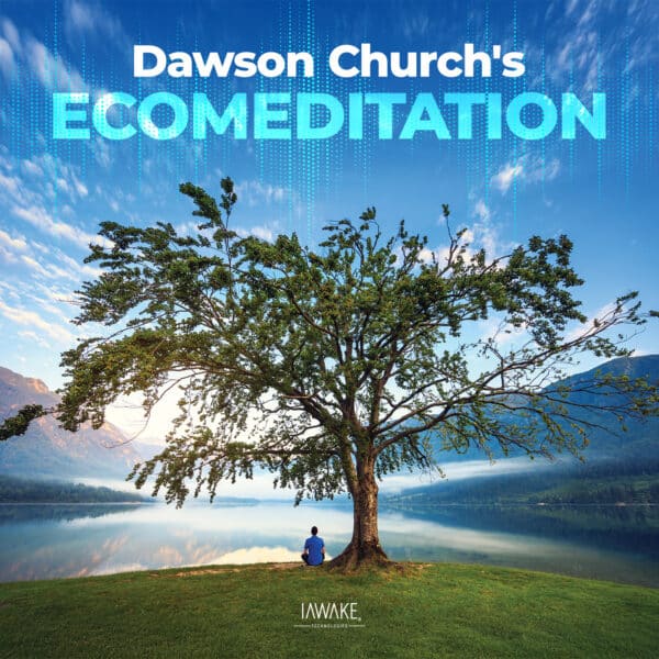 Dawson Church's EcoMeditation