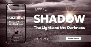 Joseph Kao iAwake Shadow The Light and the Darkness