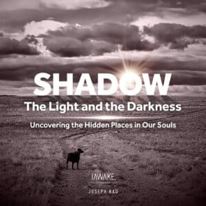 Joseph Kao iAwake Shadow The Light and the Darkness