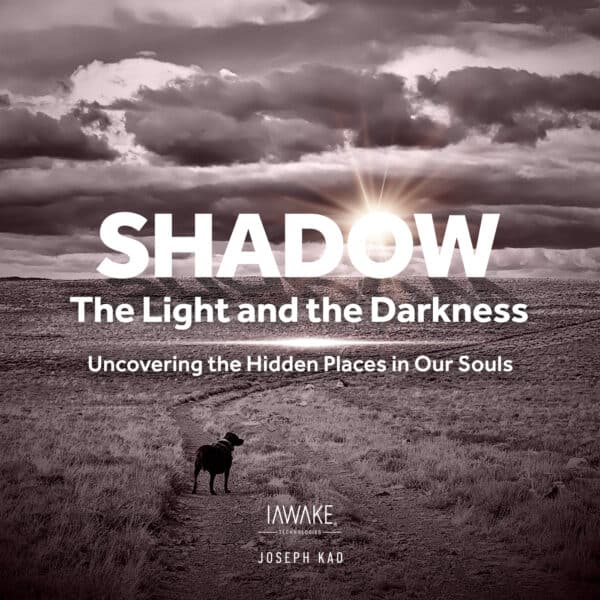 Shadow, The Light and the Darkness